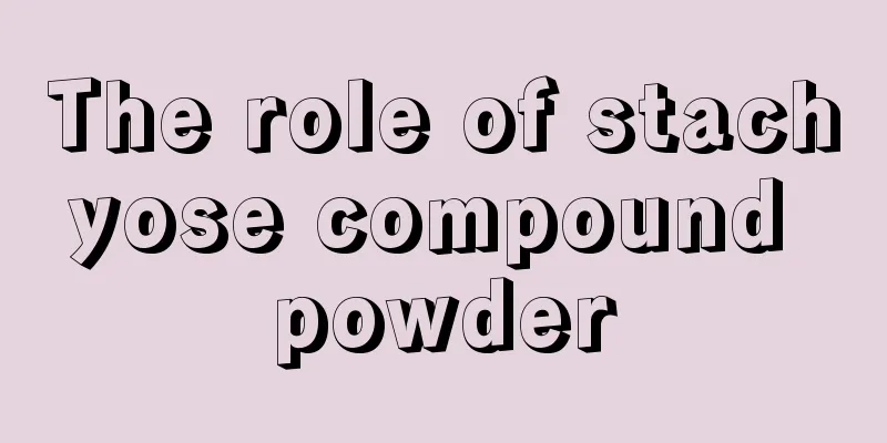 The role of stachyose compound powder