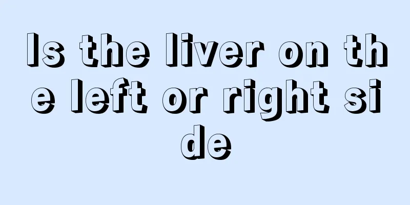 Is the liver on the left or right side