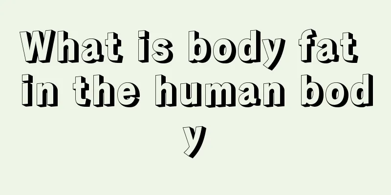 What is body fat in the human body