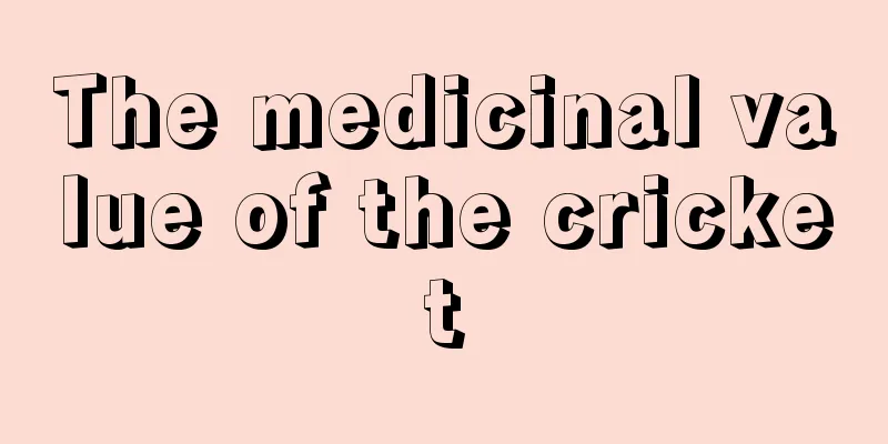 The medicinal value of the cricket