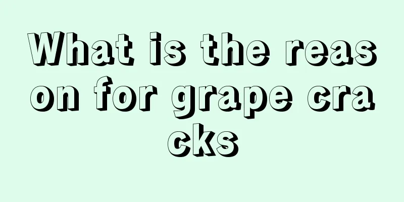 What is the reason for grape cracks