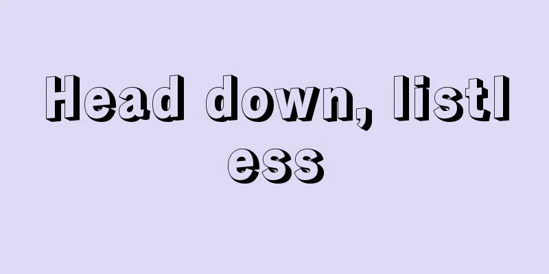 Head down, listless