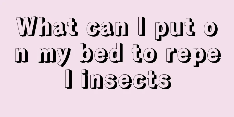 What can I put on my bed to repel insects