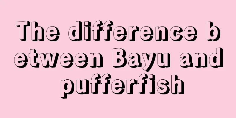 The difference between Bayu and pufferfish