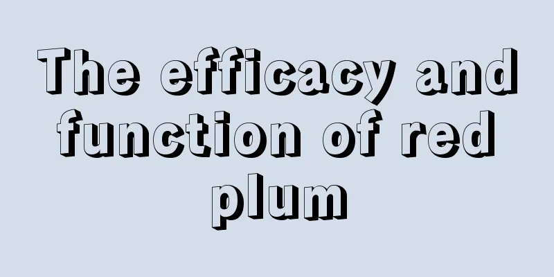 The efficacy and function of red plum