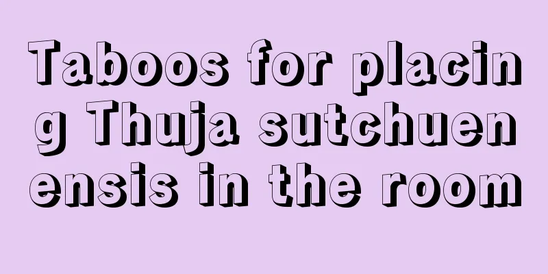 Taboos for placing Thuja sutchuenensis in the room