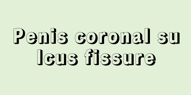 Penis coronal sulcus fissure