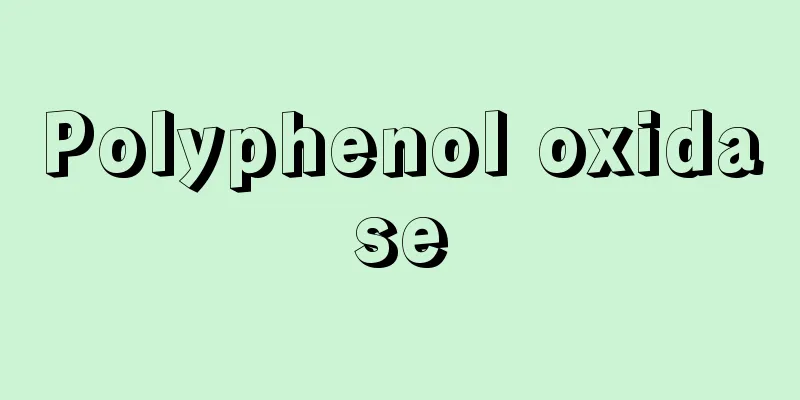 Polyphenol oxidase
