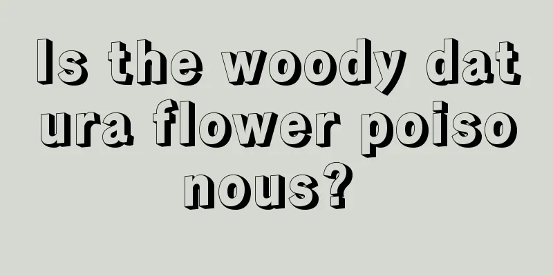 Is the woody datura flower poisonous? 