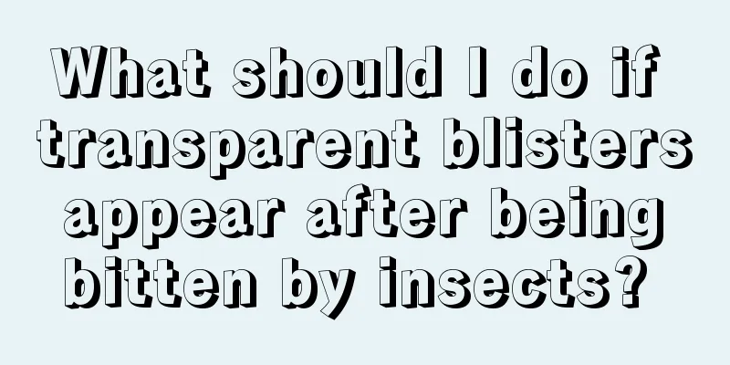 What should I do if transparent blisters appear after being bitten by insects? 