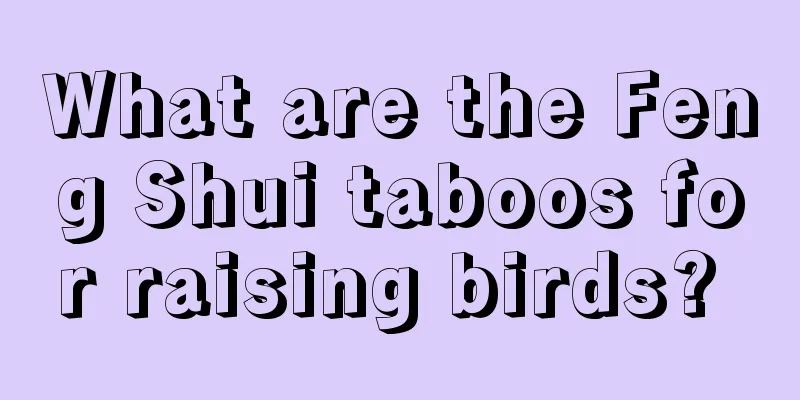 What are the Feng Shui taboos for raising birds? 