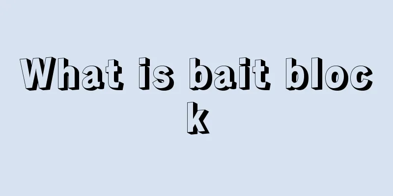 What is bait block