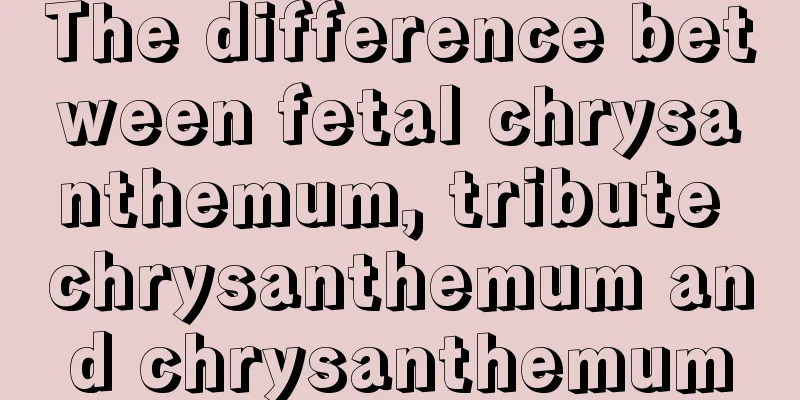 The difference between fetal chrysanthemum, tribute chrysanthemum and chrysanthemum