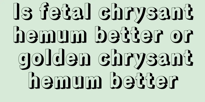 Is fetal chrysanthemum better or golden chrysanthemum better