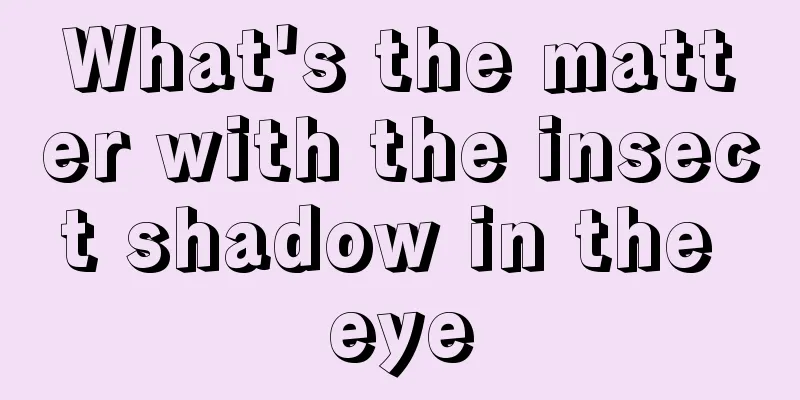 What's the matter with the insect shadow in the eye