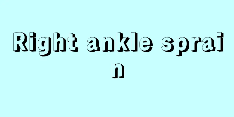 Right ankle sprain