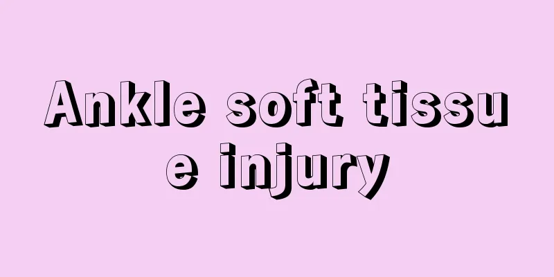 Ankle soft tissue injury