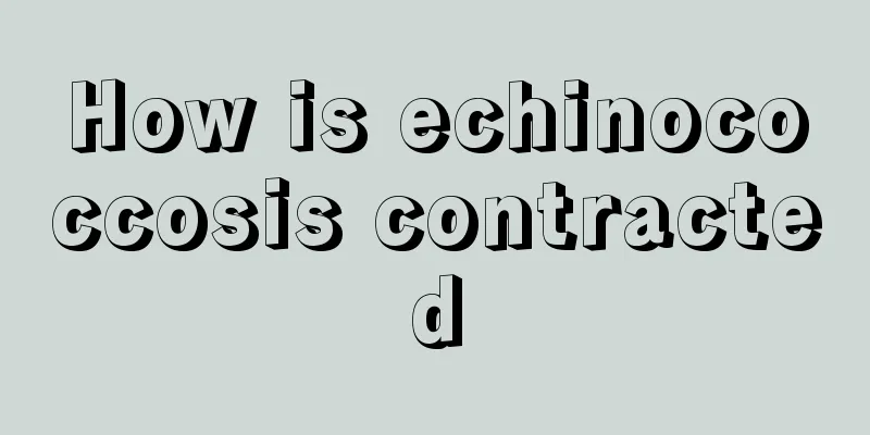 How is echinococcosis contracted