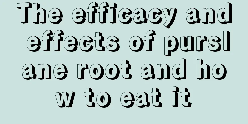 The efficacy and effects of purslane root and how to eat it