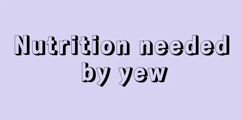 Nutrition needed by yew