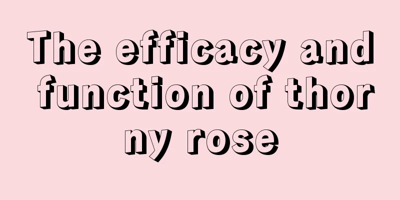 The efficacy and function of thorny rose
