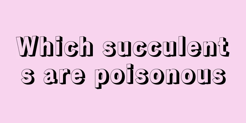 Which succulents are poisonous