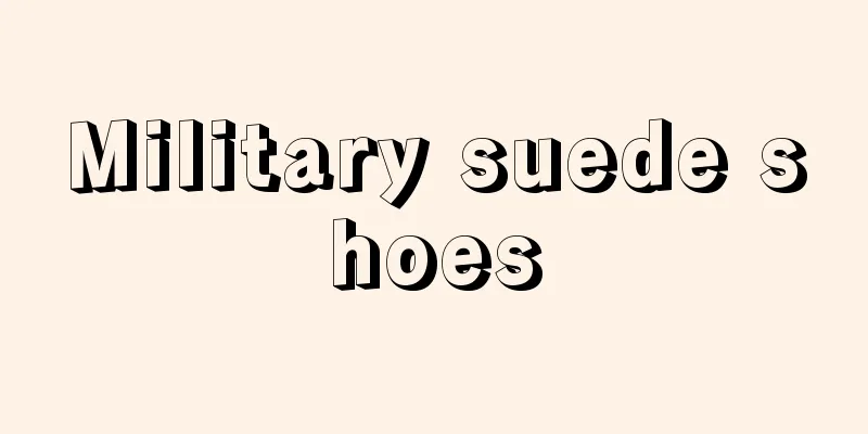 Military suede shoes