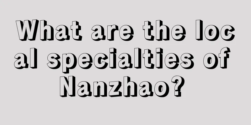 What are the local specialties of Nanzhao? 