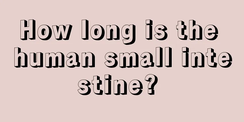 How long is the human small intestine? 