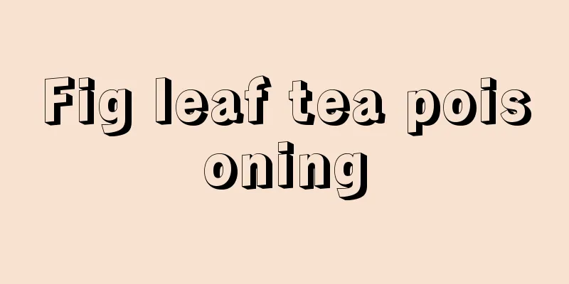 Fig leaf tea poisoning