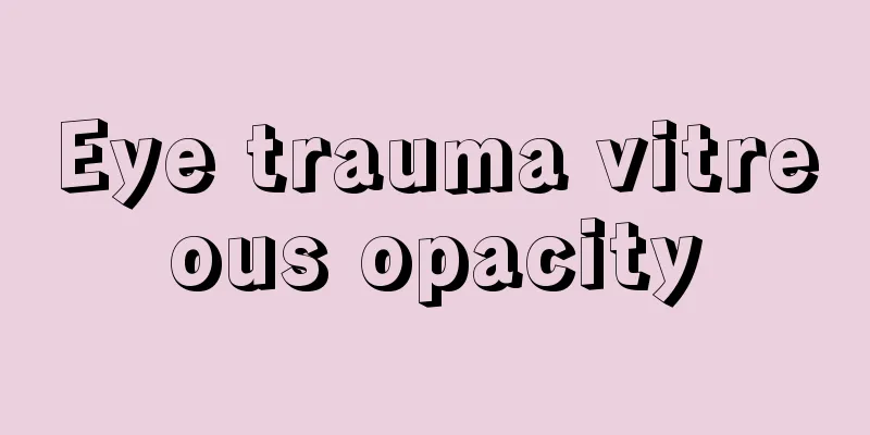 Eye trauma vitreous opacity