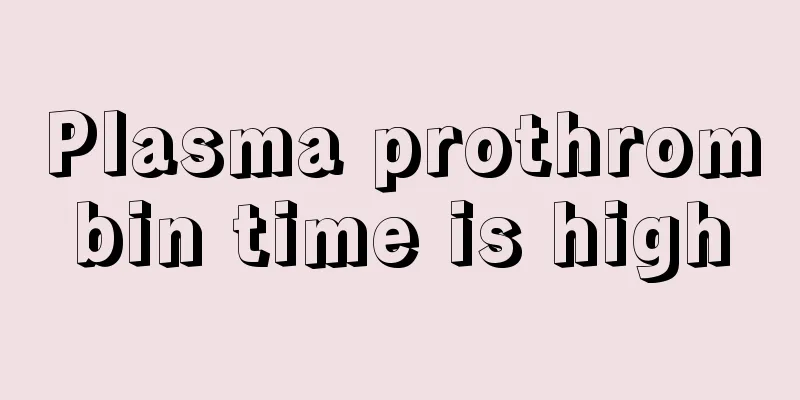 Plasma prothrombin time is high