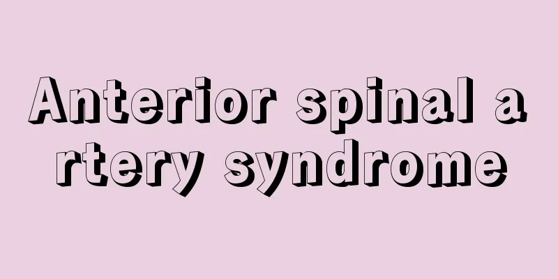 Anterior spinal artery syndrome