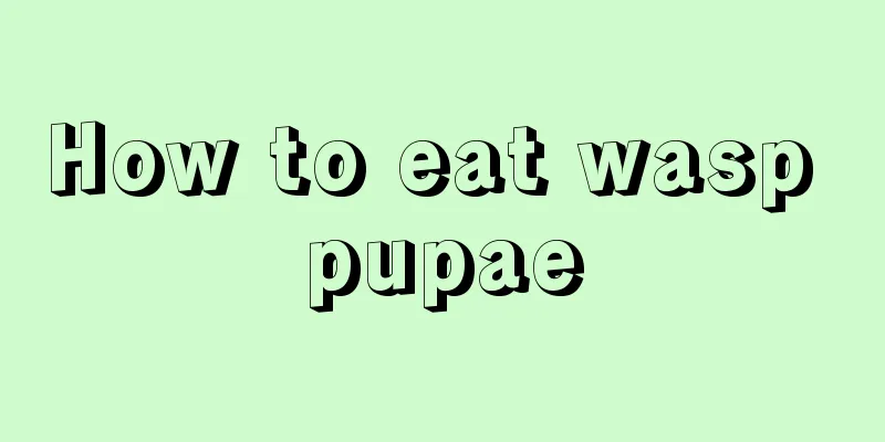 How to eat wasp pupae