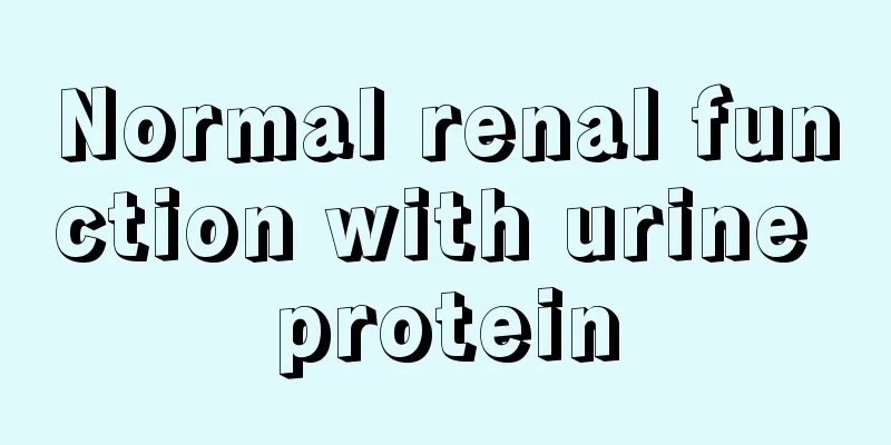 Normal renal function with urine protein