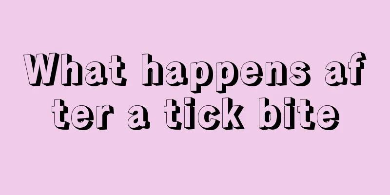 What happens after a tick bite