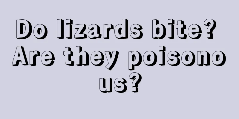 Do lizards bite? Are they poisonous?