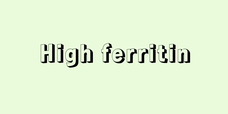 High ferritin