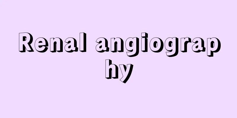 Renal angiography