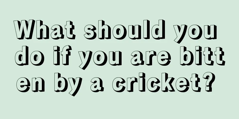 What should you do if you are bitten by a cricket? 