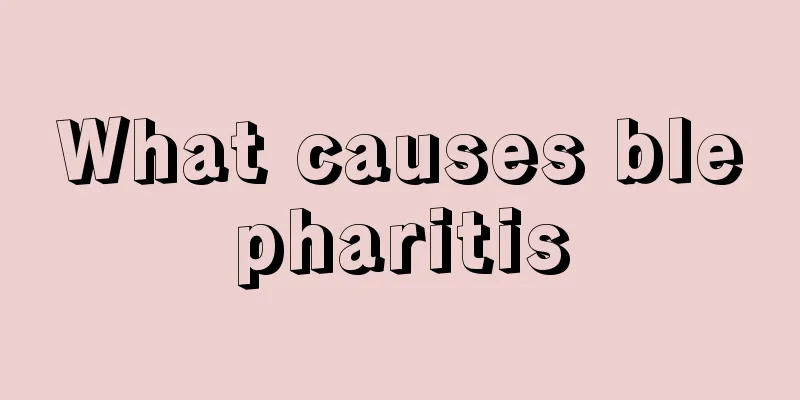 What causes blepharitis