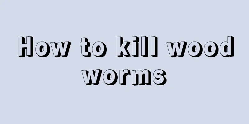 How to kill woodworms