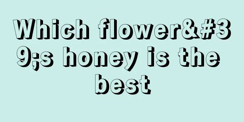 Which flower's honey is the best