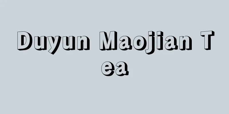 Duyun Maojian Tea