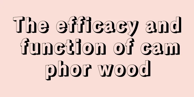 The efficacy and function of camphor wood