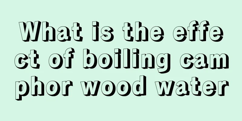 What is the effect of boiling camphor wood water