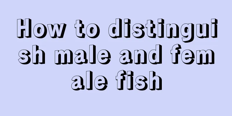 How to distinguish male and female fish