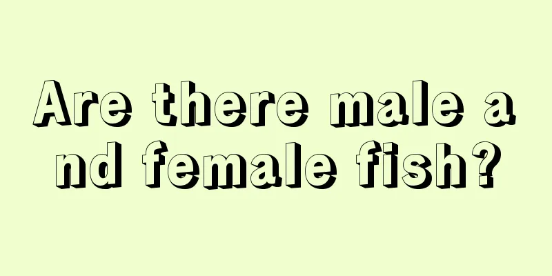 Are there male and female fish?