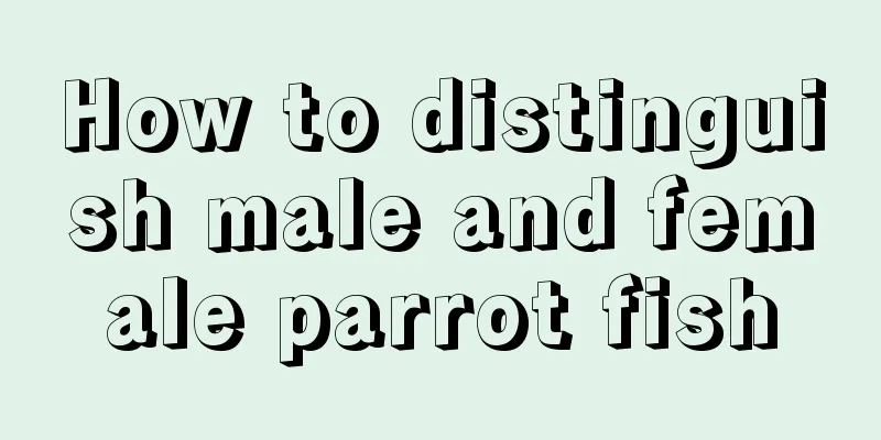 How to distinguish male and female parrot fish