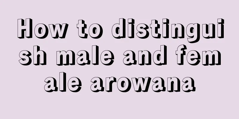 How to distinguish male and female arowana